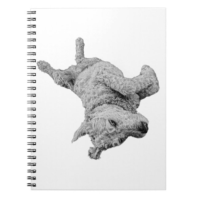 Caderno Espiral Linhas Lightheared (Frente)