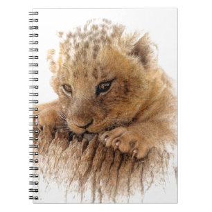 Caderno Espiral Lion cub fecha olhos bonitos
