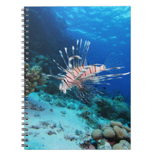 Caderno Espiral Lionfish ou Pterois Miles, Peixes de Recife do Oce