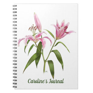 Caderno Espiral Lírio cor-de-rosa do Stargazer