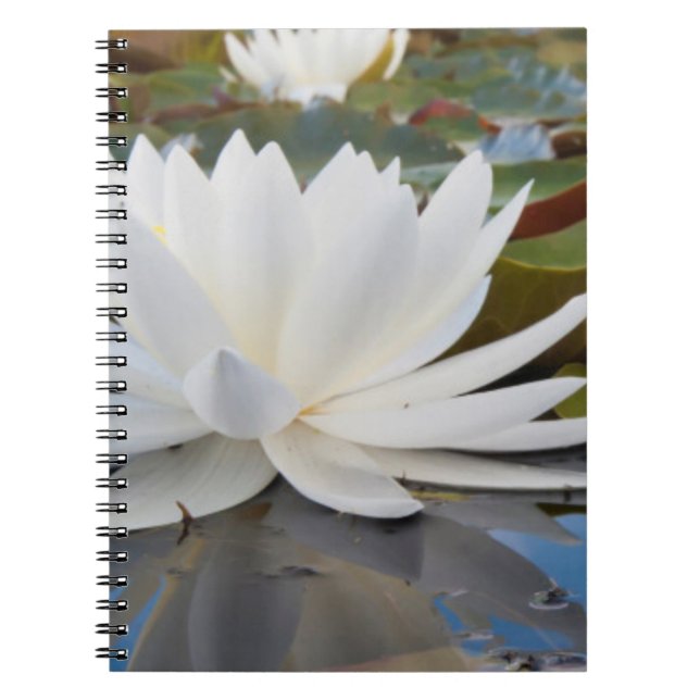 Caderno Espiral Lírio de Água Fragrante (Nymphaea Odorata) no Cadd (Frente)