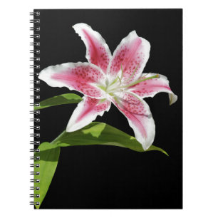 Caderno Espiral Lírio do Stargazer
