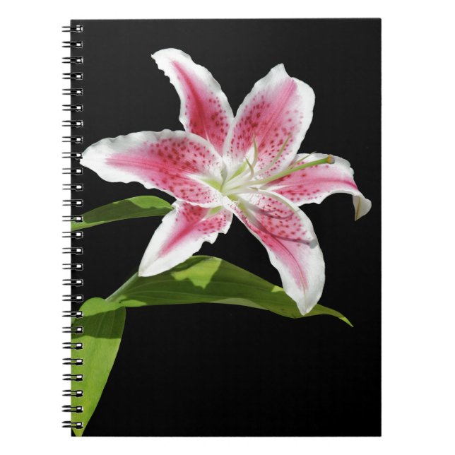 Caderno Espiral Lírio do Stargazer (Frente)