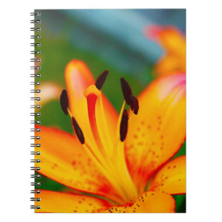 Caderno Espiral Lírio II