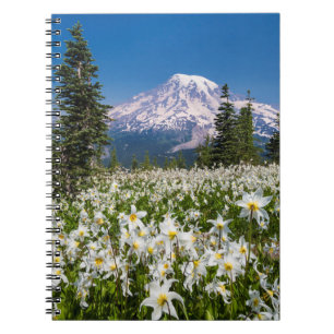 Caderno Espiral Lírios avalanche e Monte Rainier 2