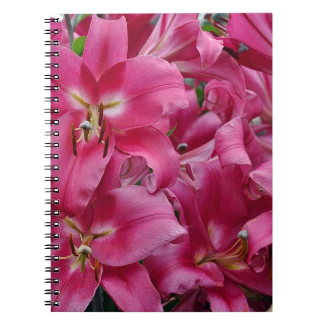 Caderno Espiral Lírios cor-de-rosa (Frente)