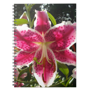 Caderno Espiral Lírios cor-de-rosa flores tropicais cor-de-rosa fl