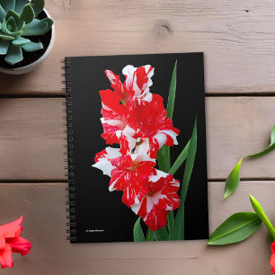 Caderno Espiral Lírios de Espadas Vermelhas e Brancas