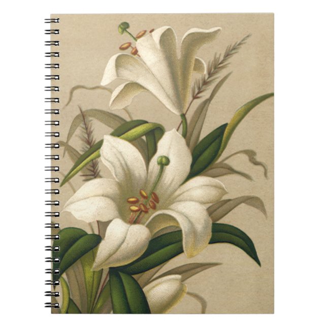 Caderno Espiral Lírios de Páscoa Antigos, Flores Vitorianas em Flo (Frente)
