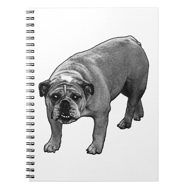 Caderno Espiral Lista e Diário leve (Frente)