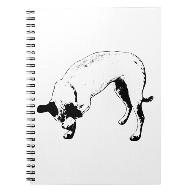 Caderno Espiral Lista Secreta, Pata Tímida (Frente)