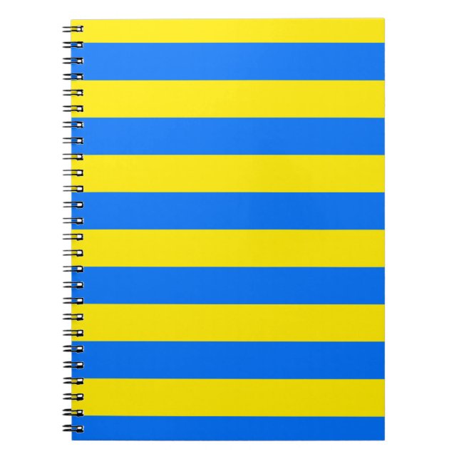 Caderno Espiral Listras Azuis e Amarelas (Frente)