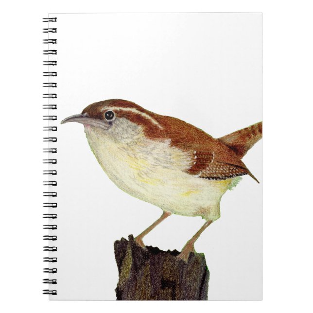 Caderno Espiral Little Wren (Frente)