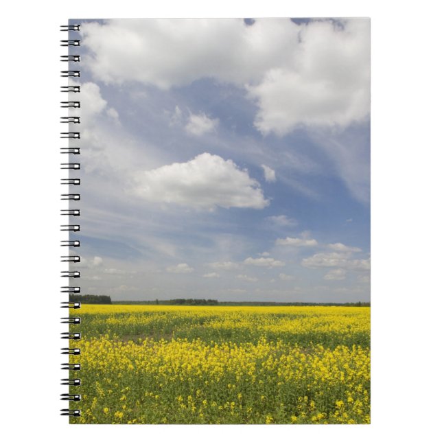 Caderno Espiral Lituânia, Lituânia Central, Joniskis, campo de (Frente)