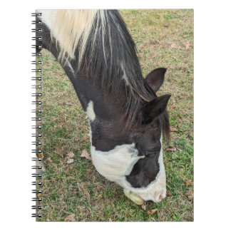 Caderno Espiral Livro de anotações sobre cavalos