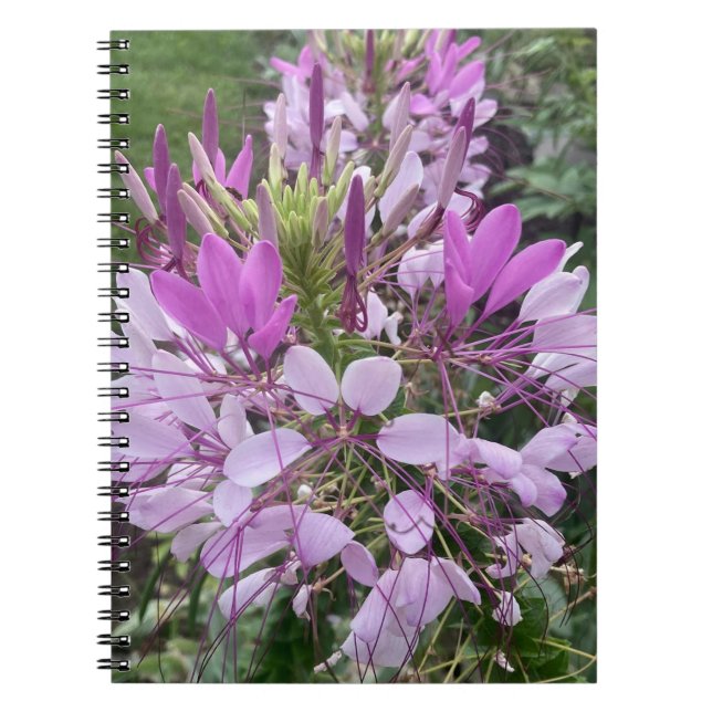 Caderno Espiral Livro de anotações sobre flores roxas (Frente)