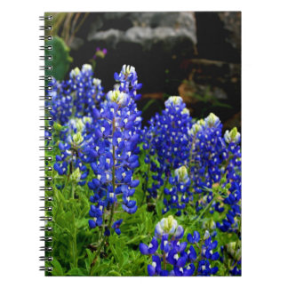 Caderno Espiral Livro de nota dos Bluebonnets de Texas