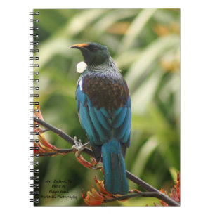 Caderno Espiral Livro de nota, pássaro de Nova Zelândia Tui