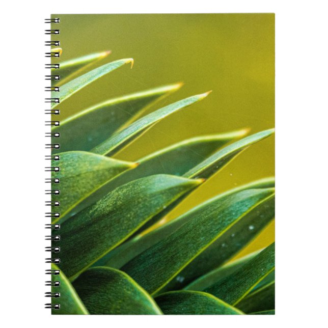 Caderno Espiral Livro de Notas (Frente)