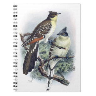 Caderno Espiral Livro de Notas de Pássaro Cuco-Traçado em excelent