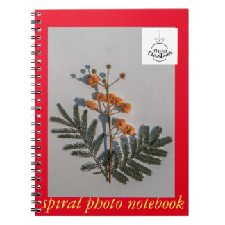 Caderno Espiral livro fotográfico