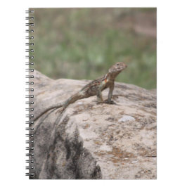 Caderno Espiral Lizard