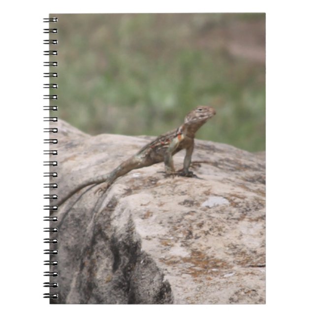 Caderno Espiral Lizard (Frente)