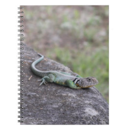Caderno Espiral Lizard