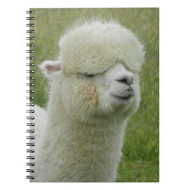 Caderno Espiral Llama (Frente)