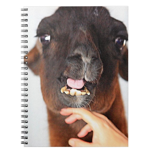 Caderno Espiral Llama (Frente)