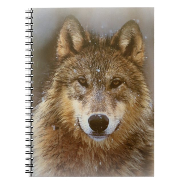 Caderno Espiral Lobo (Frente)