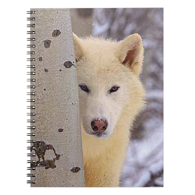 Caderno Espiral Lobo Branco (Frente)
