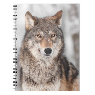 Caderno Espiral Lobo cinzento (lúpus de Canis) com uma parte