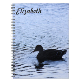 Caderno Espiral Lone Duck Willife Lake Water Ripples Fotografia