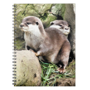 CADERNO ESPIRAL LONTRAS