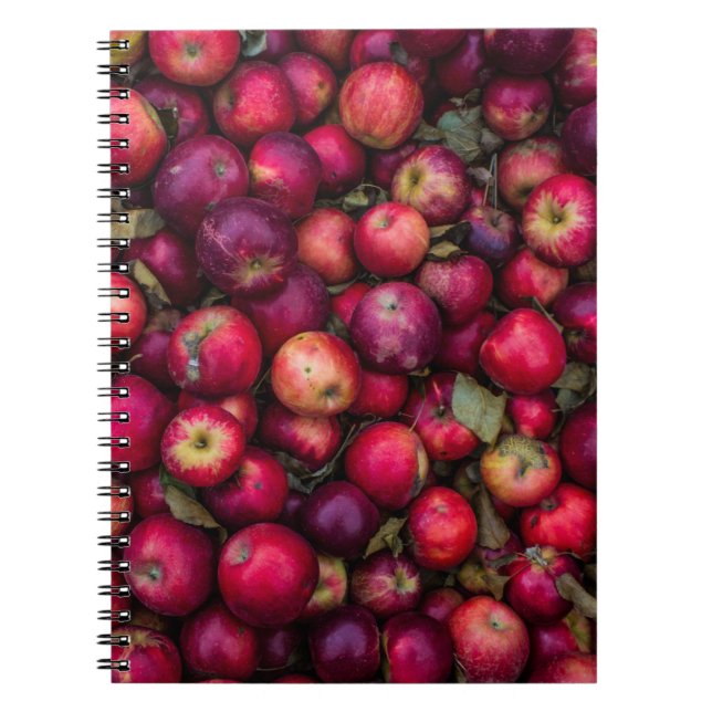 Caderno Espiral Lote de maçã vermelha (Frente)