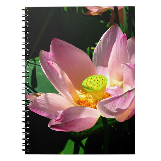 Caderno Espiral Lotus Blossom (Frente)