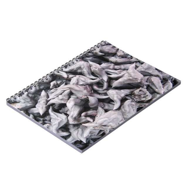 Caderno Espiral Loucos de Buffalo - Água Caltrop (Left Side)