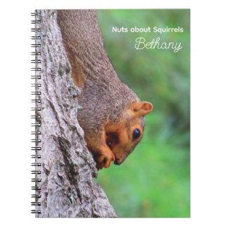 Caderno Espiral Loucos sobre o notebook personalizado esquilos