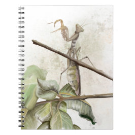 Caderno Espiral Louva-a-deus aquarela