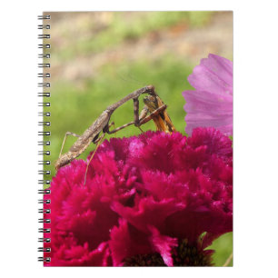 Caderno Espiral Louva-a-deus Praying que janta em uma traça