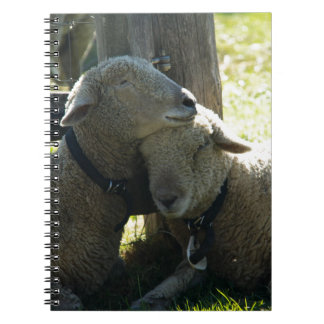 Caderno Espiral Love Ewe Sheep