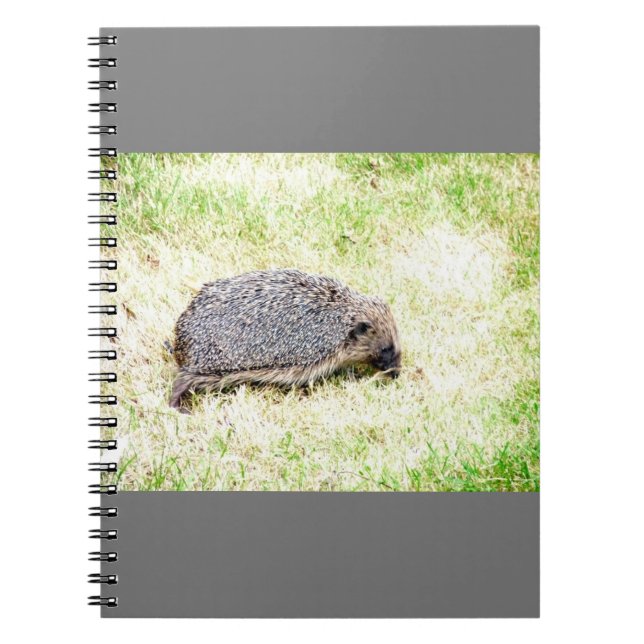 Caderno Espiral Love Hedgehogs (Frente)