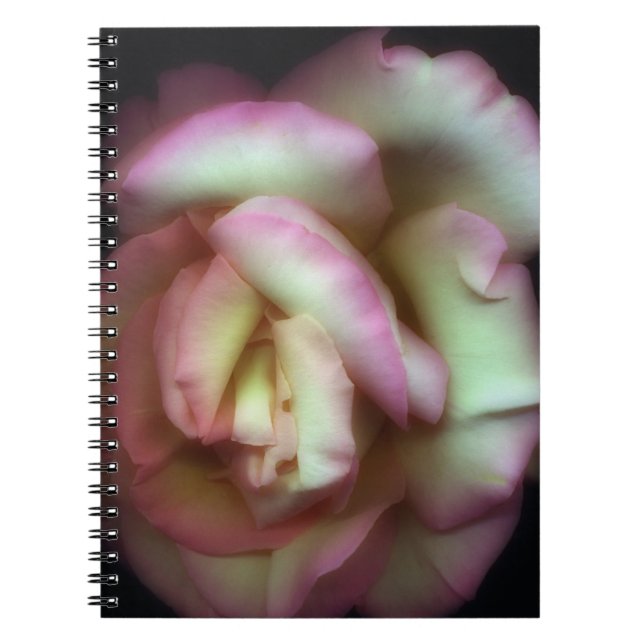 Caderno Espiral <Love is a Rose> por Nathan Griffith (Frente)