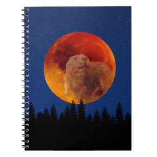 Caderno Espiral Lua do castor em novembro
