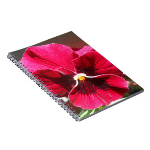 Caderno Espiral Lucrezia