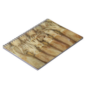 Caderno Espiral Lula - Calamari