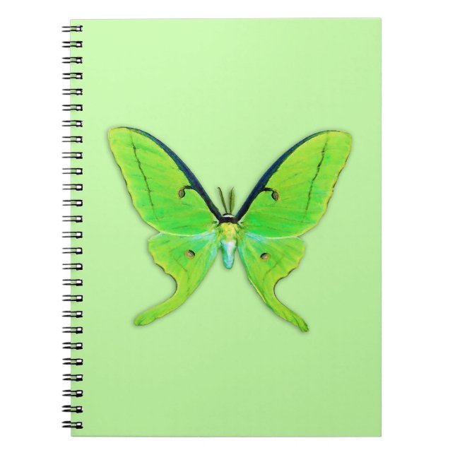 Caderno Espiral Luna moth com um fundo verde pálido (Frente)