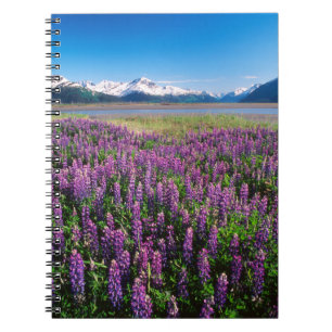 Caderno Espiral Lupinos em Flor Montanhas Kenai, Alasca