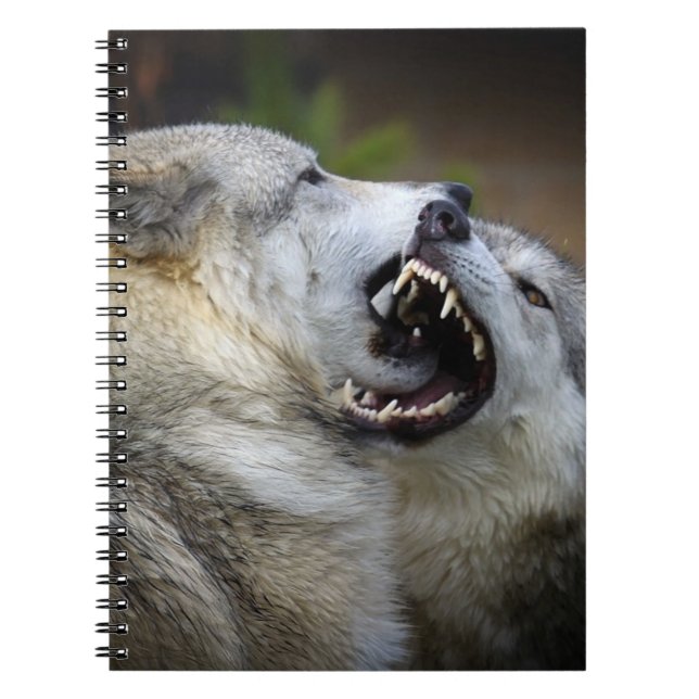 Caderno Espiral Luta do lobo (Frente)